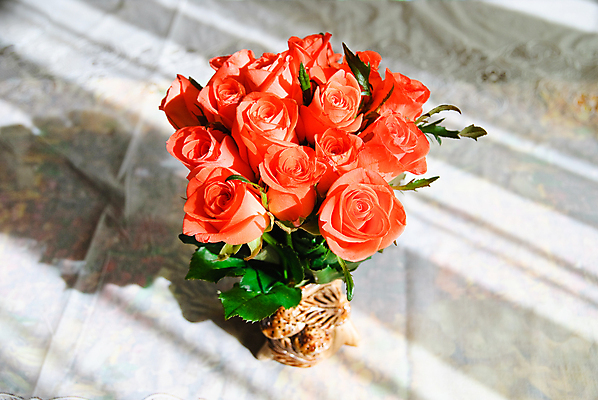 포토 JPG 해외이미지 꽃 화분 꽃다발 사람없음 빨간색 하이앵글 장미 해외포토 식물 뷰포인트 컬러 파일형식 이미지허브