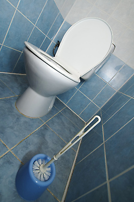 포토 JPG 해외이미지 디자인 가사 건축양식 주택 실내 사람없음 내부 욕실 흰색 붓 도자기 장롱 위생 청소 타일 화장실 변기 일반 백자 변기통 위생관리 해외포토 건축 컬러 가구 관리 건물 파일형식 이미지허브