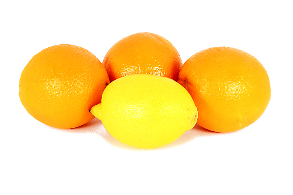 포토 JPG 해외이미지 음식 오렌지 과일 디저트 귤 건강 사람없음 노란색 흰색 달콤 레몬 내추럴 고립 채식주의자 해외포토 컬러 맛 채식 파일형식 이미지허브