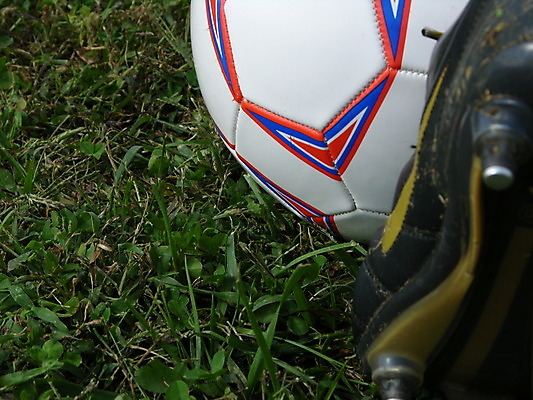 포토 JPG 해외이미지 스포츠 밭 공 놀이 경기 사람없음 축구 우승 골 양발 플레이어 해외포토 농업 구기 최고 파일형식 이미지허브