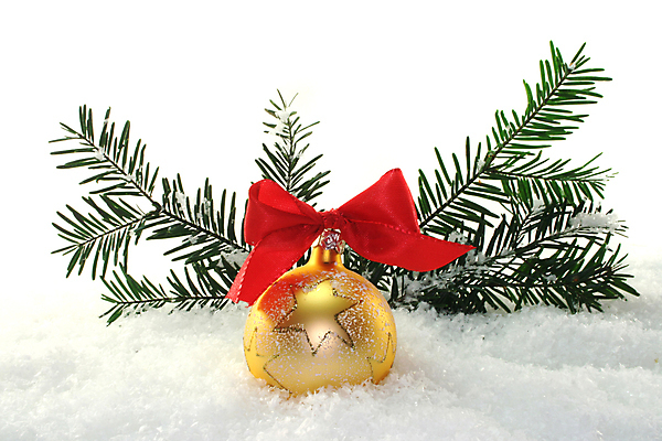 포토 JPG 해외이미지 크리스마스장식 크리스마스 사람없음 크리스마스트리 파티 화환 축하 황금 전나무 해외포토 나무 기념일 꽃 컨셉 이벤트 파일형식 이미지허브