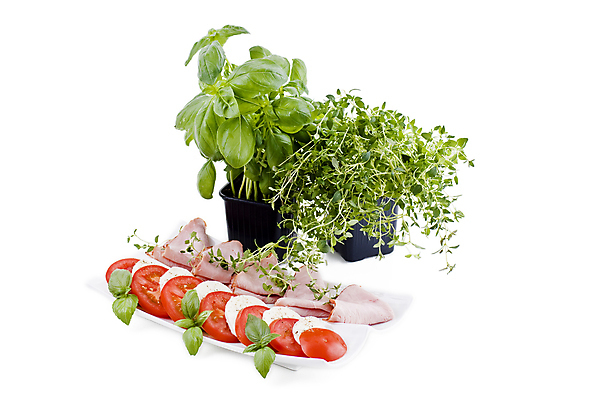 포토 JPG 해외이미지 접시 음식 조각 토마토 채소 치즈 건강 요리 사람없음 초록색 빛 식사 이탈리아 성장 흰색 신선 양념 냄비 지중해 햄 슬라이스 심플 바질 훈제 고립 모짜렐라치즈 백리향 생식 채식주의자 해외포토 식기 유럽 바다 컬러 유제품 육류 솥 채식 파일형식 이미지허브