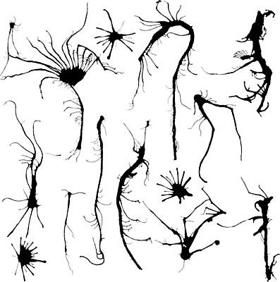 EPS 해외이미지 디자인 실루엣 일러스트 추상 잉크 세트 검은색 페인트 나뭇가지 점 얼룩 액체 비교 떨어짐 불안 질감 분무기 내추럴 그런지 해외일러스트 나무 감정 컬러 컨셉 무늬 촬영기법 파일형식 벡터 이미지허브