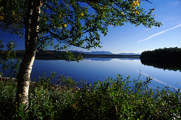 포토 JPG 해외이미지 나무 호수 백그라운드 자연 하늘 휴가 산 사람없음 야외 가로 초록색 물 파란색 컬러풀 햇빛 뷰티 반사 평화 침묵 봄 새벽 거울 시골 숲 명상 내추럴 대칭 수평선 해외포토 자연요소 식물 계절 컬러 컨셉 태양 소리 생태계 파일형식 이미지허브