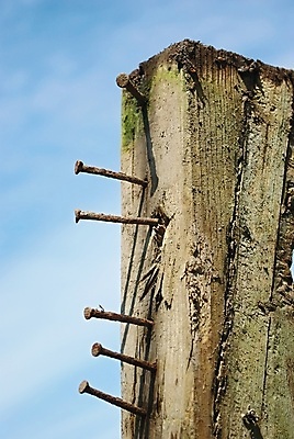 포토 JPG 해외이미지 나무 백그라운드 패턴 부분 하늘 표면 날씨 프레임 사람없음 목재 파란색 울타리 갈색 줄무늬 수확 시골 소나무 못 거친 막대기 묘사 부식 질감 복고 통나무 결 내추럴 구식 그런지 수목 썩음 옛날 해외포토 식물 컬러 무늬 농업 재료 담장 공구 파일형식 이미지허브