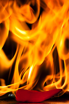 포토 JPG 해외이미지 음식 백그라운드 컨셉 채소 오렌지 고추 불 추상 파프리카 사람없음 컬러풀 에너지 신선 뜨거움 양념 폭발 향신료 묘사 흥분 유기농 매움 후추 파열 수유 해외포토 자연요소 웰빙 감정 컬러 무늬 과일 맛 향미료 파일형식 이미지허브