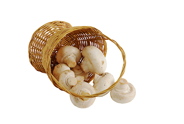 포토 JPG 해외이미지 음식 줄기 다이어트 재료 건강 손잡이 사람없음 빛 노란색 바구니 식사 버섯 흰색 신선 원형 맛 작음 자르기 먹기 가득함 흰배경 유기농 날것 칼로리 밀짚 짜임 내추럴 고립 곰팡이 생식 식용 영양분 채식주의자 캡모자 많음 세련 맛있는 해외포토 도형 식물 모자_잡화 웰빙 컬러 백그라운드 컨셉 모션 짚 크기 채식 파일형식 이미지허브