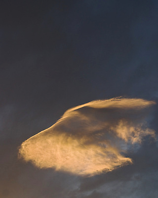 포토 JPG 해외이미지 구름 야생동물 여행 자연 하늘 불꽃 휴식 산 풍경 사람없음 야외 여름 빛 햇빛 태양 뷰티 여행객 평화 우주 환경 침묵 황혼 일몰 자유 시골 오픈 뜨거움 황무지 고독 심플 장면 지역 멀리 용서 웅장함 절정 해외포토 자연요소 동물 계절 감정 컨셉 불 사람 노을 소리 생태계 파일형식 이미지허브