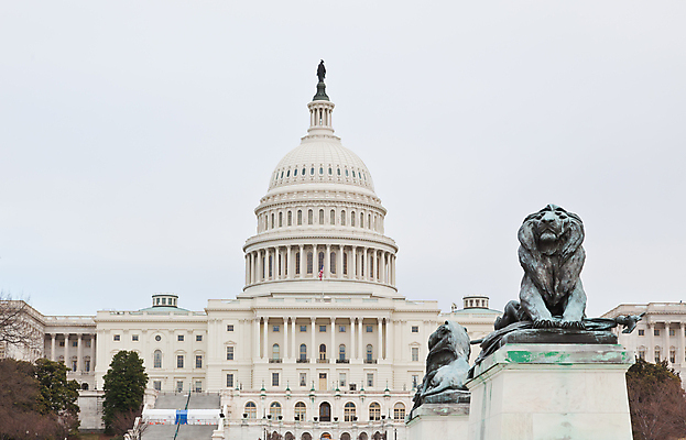 포토 JPG 해외이미지 의자 회의 사람없음 건물 미국 흰색 나뭇가지 콜롬비아 쇼핑몰 언덕 지역 국회 워싱턴 전국 정부 해외포토 나무 건축물 컬러 가구 북아메리카 비즈니스 남아메리카 파일형식 이미지허브