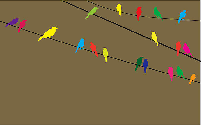 EPS 해외이미지 선 일러스트 조류 추상 사람없음 컬러풀 갈색 해외일러스트 동물 컬러 무늬 파일형식 벡터 이미지허브