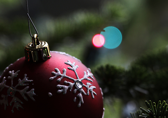 포토 JPG 해외이미지 나무 계절 크리스마스장식 크리스마스 공 휴가 불꽃 사람없음 장식 가로 빨간색 빛 반짝임 크리스마스트리 장식볼 나뭇가지 바늘 눈송이 상록수 해외포토 식물 기념일 컬러 모션 불 눈_날씨 도구 파일형식 이미지허브