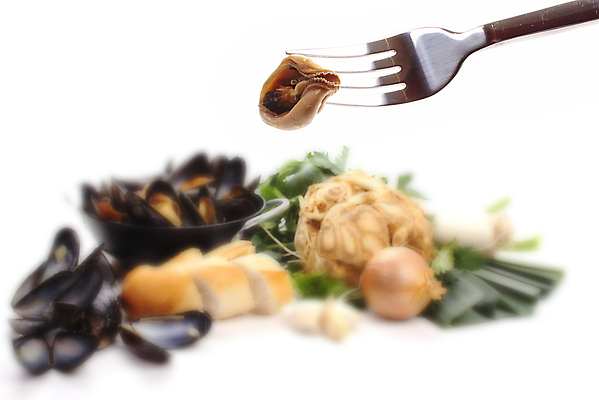 포토 JPG 해외이미지 음식 빵 바다 포크 다이어트 채소 과일 손잡이 요리 사람없음 파란색 식당 식사 침묵 껍질 흰색 신선 맛 배열 날씬함 날것 뿌리 홍합 부추 모음 고립 구성 해외포토 식기 컬러 컨셉 어패류 건강 상점 소리 몸매 파일형식 이미지허브