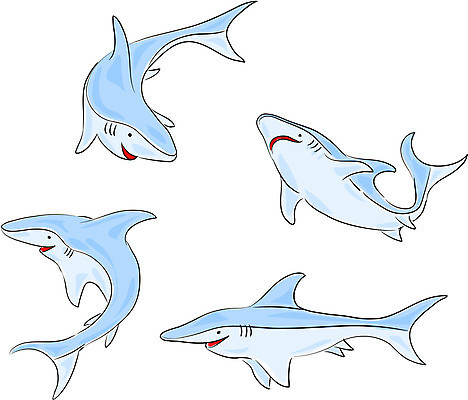 EPS 해외이미지 일러스트 청소년 어류 10대 속도 상어 해외일러스트 사람 수중동물 파일형식 벡터 이미지허브