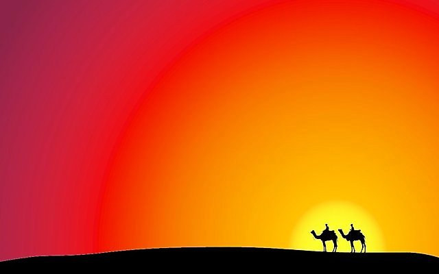 EPS 해외이미지 동물 2 오렌지 일러스트 포유류 하늘 이집트 풍경 빨간색 태양 노란색 검은색 일몰 사막 낙타 해외일러스트 자연요소 컬러 과일 아프리카 노을 파일형식 벡터 이미지허브