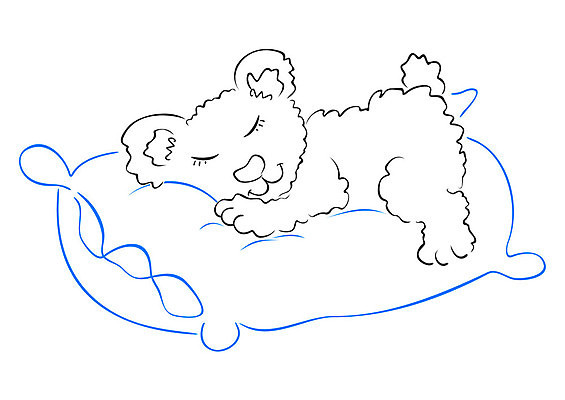 EPS 해외이미지 동물 인형 일러스트 곰 베개 휴식 미술 안전 그래픽 장난감 귀여움 꿈 잠 생일 그리기 야간 작음 만화 스케치 그림 낮잠 거짓말 고립 취침시간 해외일러스트 자연요소 기념일 컨셉 포유류 침구 모션 문화예술 크기 파일형식 벡터 이미지허브