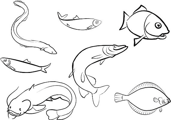 EPS 해외이미지 실루엣 음식 다이어트 일러스트 낚시 바닥 건강 저울 어류 물 강 검은색 껍질 흰색 연못 신선 잡기 최고 맛 해산물 꼬리 낚시꾼 지느러미 연어 고립 식용 짠맛 해외일러스트 자연요소 컬러 컨셉 모션 레저 촬영기법 수중동물 파일형식 벡터 이미지허브
