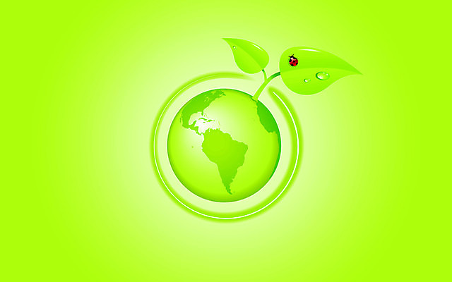 EPS 해외이미지 지구 잎 지도 일러스트 초록색 세계 글로벌 지구본 3D 환경 행성 흰색 대륙 에코 생태계 무당벌레 지리 해외일러스트 식물 컬러 곤충 우주 디지털합성 파일형식 벡터 이미지허브