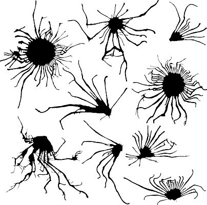 EPS 해외이미지 디자인 실루엣 일러스트 추상 잉크 세트 검은색 페인트 점 얼룩 액체 비교 떨어짐 분무기 내추럴 그런지 해외일러스트 컬러 컨셉 무늬 촬영기법 파일형식 벡터 이미지허브