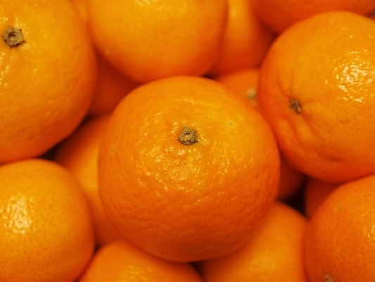 포토 JPG 해외이미지 귤 실내 사람없음 주황색 가득함 해외포토 컬러 과일 내부 파일형식 이미지허브