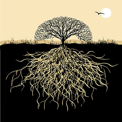 EPS 해외이미지 나무 일러스트 조류 사람없음 태양 땅 나무뿌리 해외일러스트 자연요소 식물 동물 뿌리 파일형식 벡터 이미지허브