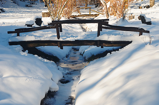 포토 JPG 해외이미지 나무 계절 잎 겨울 자연 날씨 그림자 풍경 사람없음 야외 목재 물 햇빛 평화 냉동 침묵 고요 트래킹 하이킹 흰색 시골 개울 그늘 순수 서리 장면 해외포토 자연요소 식물 컬러 컨셉 재료 레저 강 태양 소리 생태계 파일형식 이미지허브
