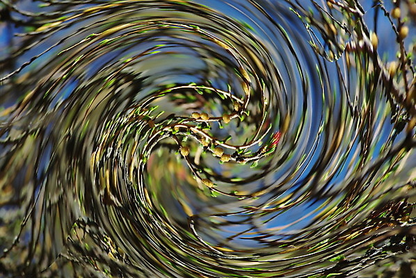 포토 JPG 해외이미지 디자인 계절 파도 백그라운드 컨셉 잎 곡선 모션 자연 벽지 날씨 추상 나선형 미술 풍경 사람없음 초록색 여름 파란색 빛 컬러풀 환경 웹 힘 봄 활발 꿈 에너지 소용돌이 인사 신선 신용카드 구부린 매끈함 폭발 회전 폭풍 무한 블러 접기 그리너리 효과 해외포토 식물 선 바다 컬러 무늬 인터넷 문화예술 금융 회오리 예절 감각 생태계 파일형식 트랜드컬러 이미지허브