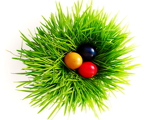 포토 JPG 해외이미지 전통 행복 음식 백그라운드 가족 자연 휴가 부활절 건강 사람없음 장식 빨간색 초록색 파란색 컬러풀 농장 갈색 노란색 파티 우주 계란 치킨 침묵 봄 성장 껍질 흰색 축하 신선 둥지 볏짚 아침식사 사냥 염색 발견 고립 숨기 암탉 취급주의 해외포토 계절 기념일 감정 컬러 컨셉 농업 관계 모션 경고 이벤트 알 식사 소리 닭 짚 암컷 생태계 닭고기요리 파일형식 이미지허브