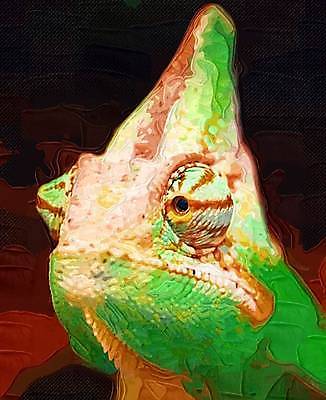 포토 JPG 해외이미지 클립아트 템플릿 디자인 백그라운드 패턴 일러스트 파충류 벽지 추상 프레임 미술 사람없음 그래픽 장식 뷰티 3D 디지털 페인트 수확 그리기 땅 심볼 사인 그림 질감 복고 그런지 웹디자인 카멜레온 국경 해외일러스트 동물 무늬 농업 모션 문화예술 디지털합성 파일형식 이미지허브