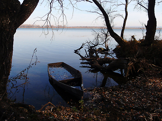 포토 JPG 해외이미지 나무 호수 자연 하늘 사람없음 물 반사 보트 해외포토 자연요소 식물 배_교통 생태계 파일형식 이미지허브