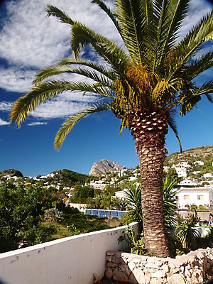 포토 JPG 해외이미지 나무 유럽 바다 여행 하늘 날씨 휴가 사람없음 초록색 물 파란색 평화 항구 맑음 스페인 고급 지중해 빌라 해안도시 장면 타운 멀리 스페인어 해외포토 자연요소 식물 나라 컬러 컨셉 교통시설 주택 도시 파일형식 이미지허브