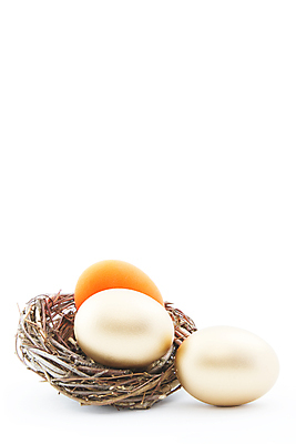 포토 JPG 해외이미지 비즈니스 사람없음 세로 금융 경제 둥지 계획 은퇴 불안 심볼 걱정 보안 투자 문제 연금 자금 트러블 카피스페이스 해외포토 감정 컨셉 돈 안전 공백 파일형식 이미지허브