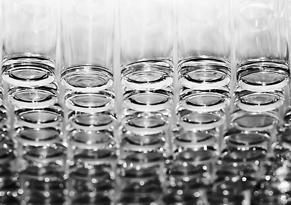 포토 JPG 해외이미지 컨셉 유니폼 유리 추상 흑백 사람없음 파티 그룹 묘사 텀블러 반복 해외포토 옷 무늬 재질 촬영기법 이벤트 컵 파일형식 이미지허브