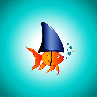 EPS 해외이미지 컨셉 오렌지 일러스트 어류 물 강 수중 수영 거품 벨트 황금 지느러미 상어 해외일러스트 자연요소 잡화 과일 수중동물 수상스포츠 파일형식 벡터 이미지허브