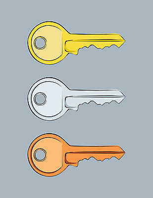 EPS 해외이미지 일러스트 열쇠 금속 경쟁 오픈 황금 은색 사물함 잠금 청동 해외일러스트 컬러 컨셉 재질 보안 파일형식 벡터 이미지허브