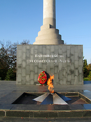 포토 JPG 해외이미지 나무 공원 별 하늘 사람없음 정원 도시 천연기념물 스타일 해외포토 자연요소 식물 공공시설 파일형식 이미지허브