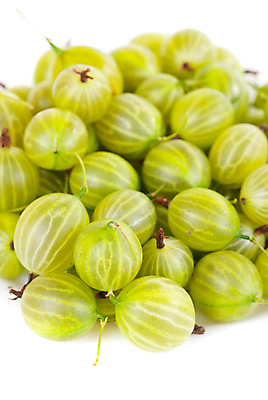 포토 JPG 해외이미지 사람없음 초록색 하이앵글 소프트포커스 구스베리 해외포토 열매 뷰포인트 컬러 촬영기법 파일형식 이미지허브