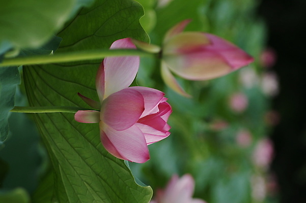 포토 JPG 해외이미지 사람없음 해외포토 파일형식 이미지허브