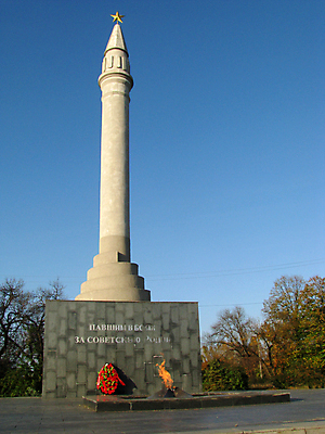 포토 JPG 해외이미지 나무 공원 별 하늘 사람없음 정원 도시 천연기념물 스타일 해외포토 자연요소 식물 공공시설 파일형식 이미지허브