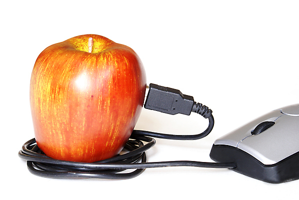 포토 JPG 해외이미지 교육 음식 백그라운드 컨셉 인터넷 과일 학교 아이디어 기술 사람없음 빨간색 학습 컴퓨터 흰색 네트워크 가르침 코드 사과 쥐 연결 사이버 검색 전자 온라인 고립 특별함 해외포토 컬러 전자제품 설치류 파일형식 이미지허브