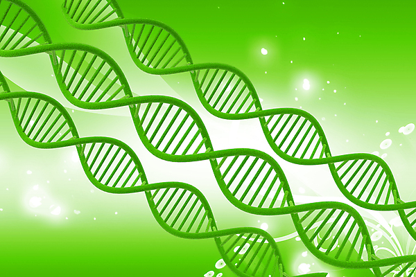 포토 JPG 해외이미지 모양 과학 백그라운드 일러스트 모션 자연 추상 사람없음 그래픽 초록색 약 3D 검은색 광선 DNA 생물학 만들기 심플 돌봄 유전 효과 해외일러스트 교육 컬러 무늬 의학 생명공학 디지털합성 생태계 파일형식 이미지허브