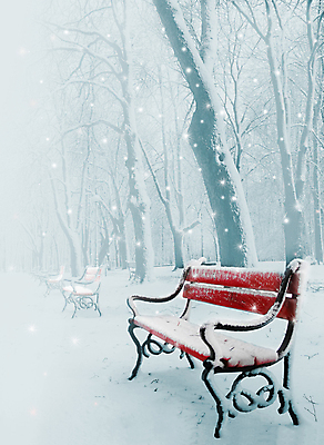 포토 JPG 해외이미지 나무 계절 공원 도로 길 조각 여행 백그라운드 겨울 벤치 자연 풍경 사람없음 목재 장식 빨간색 파란색 여행객 평화 냉동 얼음 침묵 산책 추위 안개 흰색 나뭇가지 시골 고독 떨어짐 숲 신비 12월 서리 트랙 장면 폴란드 1월 2월 뿌연 폭설 눈내림 해외포토 자연요소 식물 공공시설 감정 유럽 컬러 컨셉 의자 재료 교통시설 날씨 휴식 눈_날씨 사람 소리 날짜 자연재해 생태계 파일형식 이미지허브