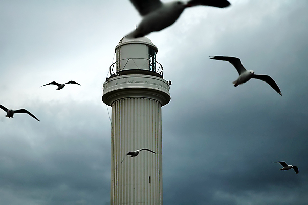 포토 JPG 해외이미지 바다 갈매기 하늘 바람 등대 항해 사람없음 어둠 자유 신호등 무료 해외포토 자연요소 컨셉 배_교통 조류 날씨 파일형식 이미지허브