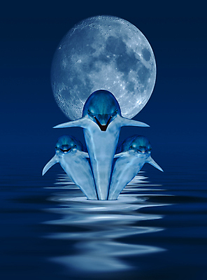 포토 JPG 해외이미지 파도 바다 백그라운드 일러스트 포유류 자연 어류 미술 풍경 사람없음 물 파란색 컬러풀 반사 3D 점프 어둠 달 야간 번개 돌고래 발생 수평선 해외일러스트 자연요소 동물 컬러 모션 날씨 문화예술 수중동물 디지털합성 생태계 파일형식 이미지허브