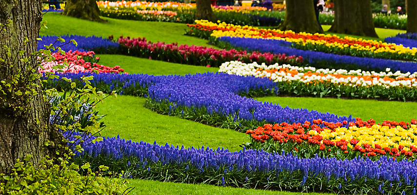 포토 JPG 해외이미지 나무 식물 계절 공원 꽃 꽃무늬 오렌지 전구 자연 풍경 사람없음 장식 빨간색 초록색 컬러풀 노란색 여행객 환경 정원 봄 튤립 벚꽃 개화 배열 네덜란드 향기 내추럴 밭일 히아신스 그리너리 해외포토 공공시설 유럽 컬러 무늬 과일 사람 생태계 냄새 파일형식 트랜드컬러 이미지허브