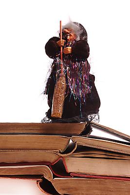 포토 JPG 해외이미지 전통 교육 종이 동화 요정 사람없음 유행 쌓기 정보 수확 흰색 도서관 제비꽃 읽기 복고 문학 페이지 공상 구식 옛날 해외포토 꽃 컬러 농업 모션 파일형식 이미지허브