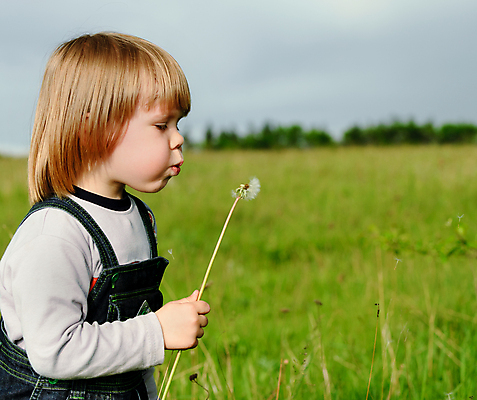 포토 JPG 해외이미지 백인 1 꽃 얼굴 어린이 밭 장난 상상 자연 하늘 휴식 씨앗 한명 사람 야외 옆모습 여름 파란색 금발 봄 꿈 자유 흰색 자녀 청바지 시골 입 행운 작음 민들레 불기 싱글 장면 소원 솜털 염원 해외포토 서양인 식물 헤어스타일 계절 뷰포인트 컬러 컨셉 농업 바지 모션 신체부위 크기 생태계 파일형식 이미지허브