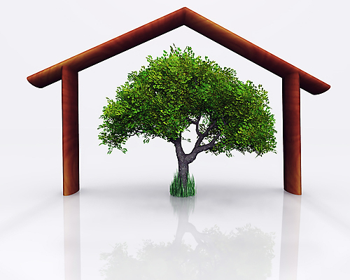 포토 JPG 해외이미지 나무 컨셉 주택 사람없음 건물 보호 심볼 생태학 해외포토 식물 건축물 교육 파일형식 이미지허브