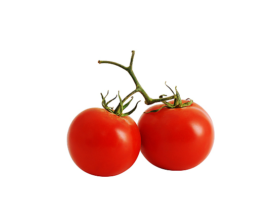 포토 JPG 해외이미지 식물 커플 음식 줄기 백그라운드 2 농업 다이어트 토마토 채소 과일 재료 건강 요리 사람없음 빨간색 식사 흰색 신선 맛 상품 자르기 먹기 흰배경 유기농 날것 칼로리 섬유 내추럴 고립 밭일 생식 영양분 입가심 채식주의자 맛있는 해외포토 웰빙 산업 컬러 컨셉 관계 모션 직물 채식 파일형식 이미지허브