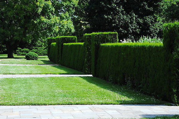 포토 JPG 해외이미지 식물 사람없음 울타리 정원 줄서기 직진 국경 해외포토 모션 담장 파일형식 이미지허브