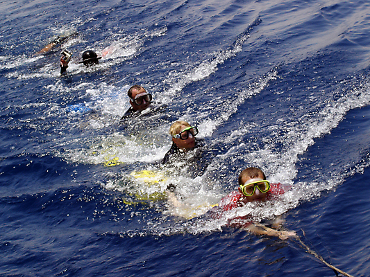 포토 JPG 해외이미지 바다 자연 휴식 함께함 이집트 사람없음 빨간색 파란색 잠수부 다이빙 해외포토 컬러 컨셉 아프리카 수영 전문직 생태계 수중스포츠 파일형식 이미지허브